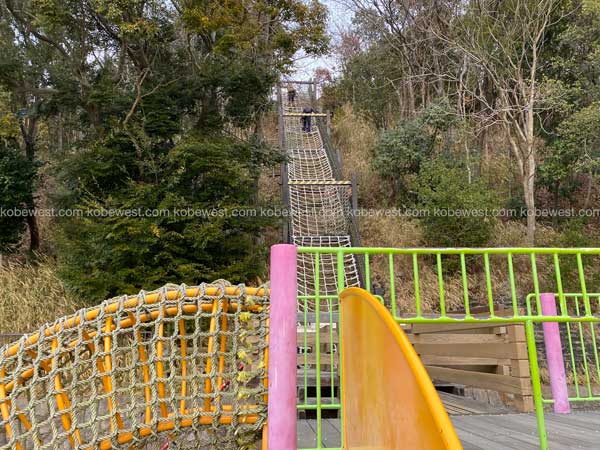 総合運動公園アスレチック