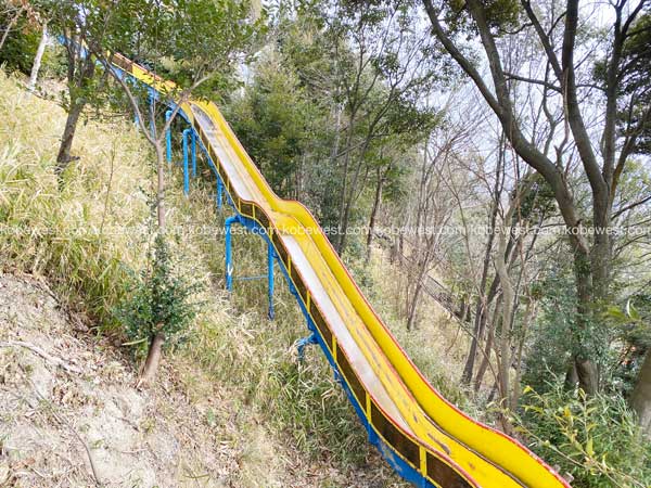 総合運動公園 滑り台